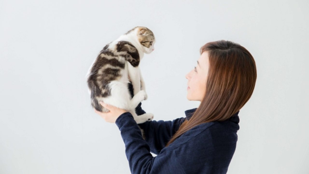 猫の正しい抱き方を画像で紹介 抱っこを嫌がる猫を好きにさせる方法 猫とハグハグ